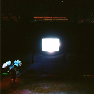 Emeralds, Does It Look Like I'm Here? (LP)