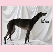 Flat Worms, Flat Worms [Strawberries N Cream] (LP)