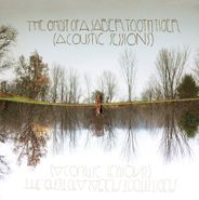 The Ghost Of A Saber Tooth Tiger, Acoustic Sessions (LP)