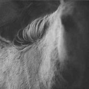 Les Discrets, Les Discrets (CD)