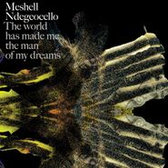 Meshell Ndegeocello, World Has Made Me The Man Of My Dreams [Import] (CD)