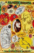Joanna Newsom, The Milk-Eyed Mender (Cassette)