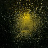 The Antlers, Burst Apart (CD)