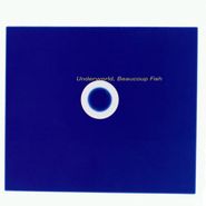 Underworld, Beaucoup Fish (CD)