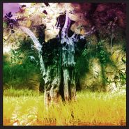 Animal Collective, Meeting Of The Waters [Record Store Day] (LP)