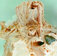 Pale Saints, In Ribbons (CD)