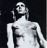 Various Artists, We Will Fall: The Iggy Pop Tribute (CD)