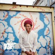 Toro y Moi, What For? [Limited Edition] (LP)
