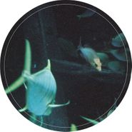 UDMO, Open Water (12")