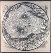 Spykes, Spykes With The Casket Sinkers [Picture Disc] (LP)