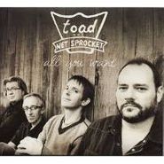 Toad The Wet Sprocket, All You Want (CD)