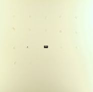 David Grubbs, Split Series #16: David Grubbs / Avey Tare (12")