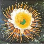 Cul de Sac, Crashes to Light, Minutes to Its Fall (CD)