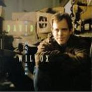 David Wilcox, Big Horizon (CD)