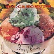 Volcano Suns, Thing Of Beauty (CD)