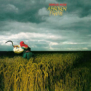 Depeche Mode, A Broken Frame (LP)