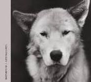 Sleeparchive, Sleeparchive / Antti Rannisto (CD)