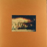 Ultra Milkmaids, Voices In The Dark / Plankton  (10")