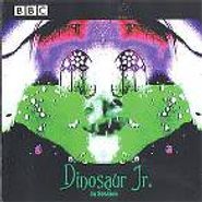 Dinosaur Jr., In Session (CD)