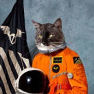 Klaxons, Surfing The Void (CD)