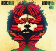 Incognito, Amplified Soul (CD)