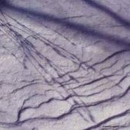 Pedestrian Deposit, Kithless (LP)