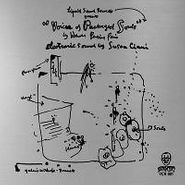Suzanne Ciani, Voices Of Packaged Souls (LP)