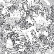 Spykes, Citizens Dream Of A City (LP)