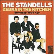 The Standells, Zebra In The Kitchen / Someday You'll Cry [BLACK FRIDAY] (7")