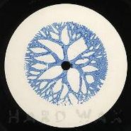 Crystal Maze, Dissolve (12")