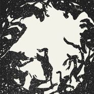 Rex Ilusivii, In The Moon Cage (LP)
