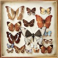Emiliana Torrini, Rarities (CD)