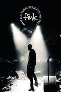Fink, Wheels Turn Beneath My Feet (LP)
