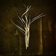 Lumisokea, Mnemosyne (LP)