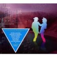 Various Artists, International Deejay Gigolos CD Twelve  (CD)
