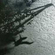 Max Richter, The Blue Notebooks (CD)
