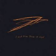 Andrew Bird, I Want To See Pulaski At Night (CD)