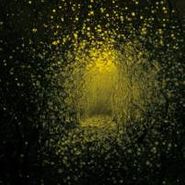 The Antlers, Burst Apart [180 Gram Vinyl] (LP)