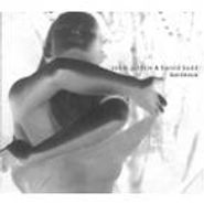 Harold Budd, Bordeaux (CD)