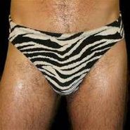 Hunx & His Punx, Gay Singles (LP)