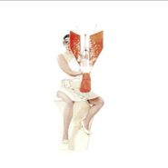 Menomena, Under An Hour (CD)