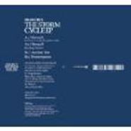 , Storm Cycle (12")