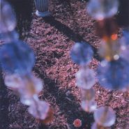 Imaginary Softwoods, Path Of Spectrolite (CD)