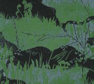 Fredrik, Flora (LP)
