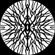 Pfirter, Procyon (12")