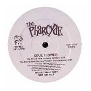 The Pharcyde, Ya Mama (12")