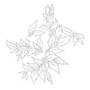 Nhor, Momenta Quintae Essentiae (CD)