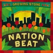 Various Artists, Growing Stone (CD)