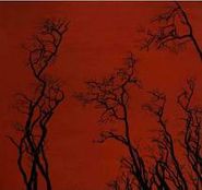 Jakob, Solace (CD)