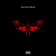Lil Wayne, I Am Not A Human Being II [Deluxe Edition] (CD)